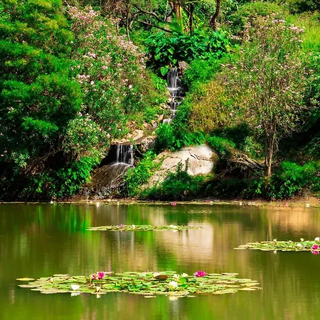 度假村 阿尔巴塔克斯公园度假村 - 沙丘 阿尔巴塔克斯