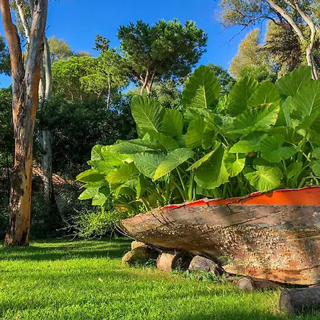 度假村 阿尔巴塔克斯公园度假村 - 沙丘