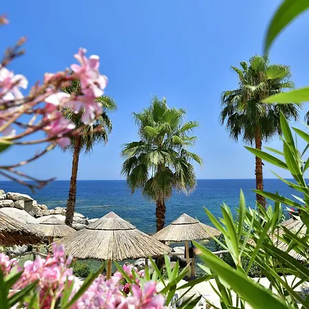 阿尔巴塔克斯公园度假村 - 沙丘