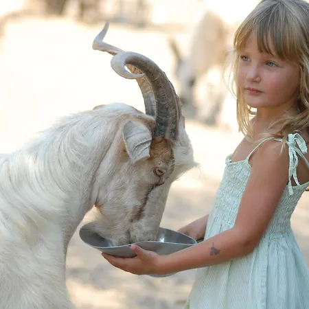 阿尔巴塔克斯公园度假村 - 沙丘
