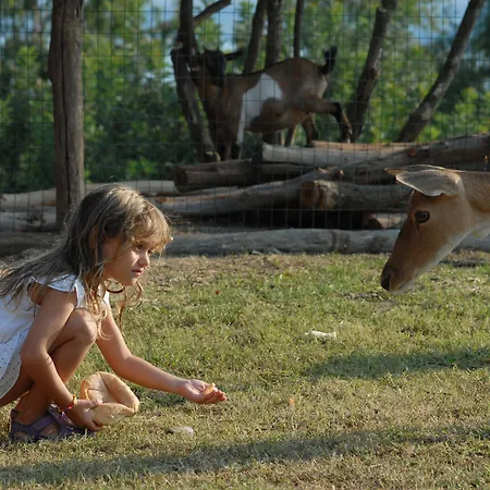 度假村 阿尔巴塔克斯公园度假村 - 沙丘
