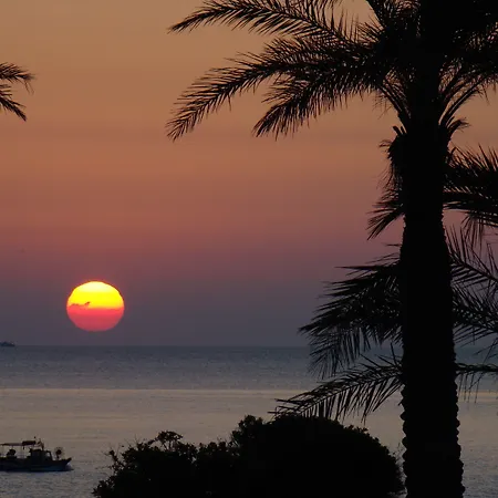 阿尔巴塔克斯公园度假村 - 沙丘 度假村 4*