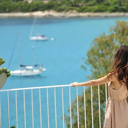 阿尔巴塔克斯公园度假村 - 沙丘