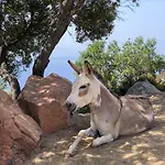 منتجع Park - Dune By Falkensteiner 4*