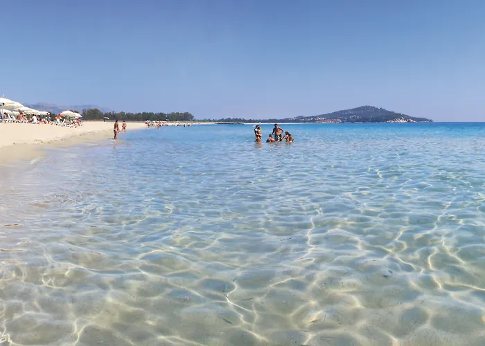 Resort Park - Dune Àrbatax