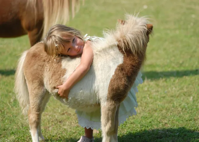 Resort Park - Dune Àrbatax