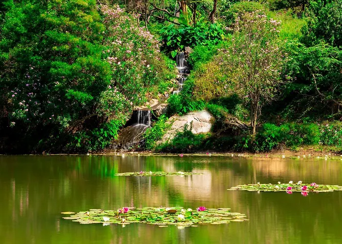 Resort Park - Dune Àrbatax