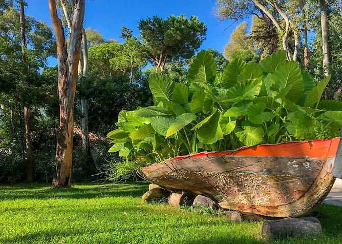 Üdülőközpont Park - Dune
