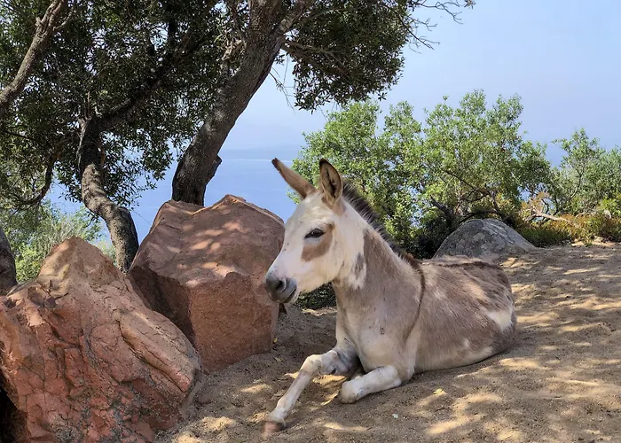 Resort Park - Dune 4*